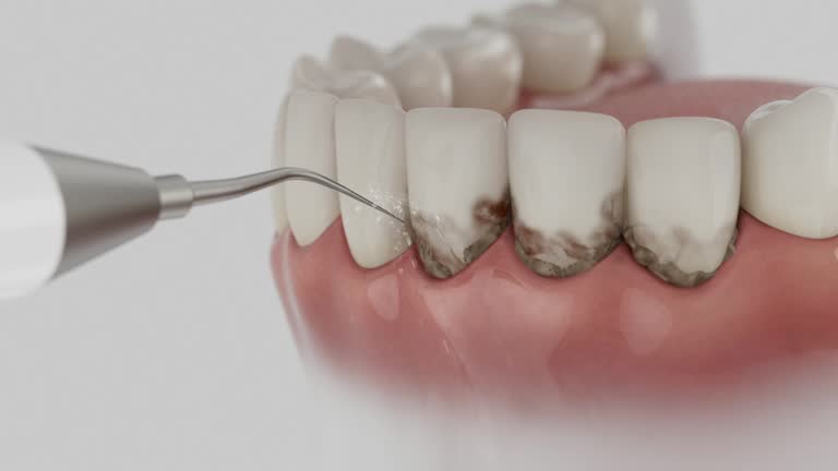 Reliable Dental contractor in Mont Belvieu, TX by Dentist Open Now